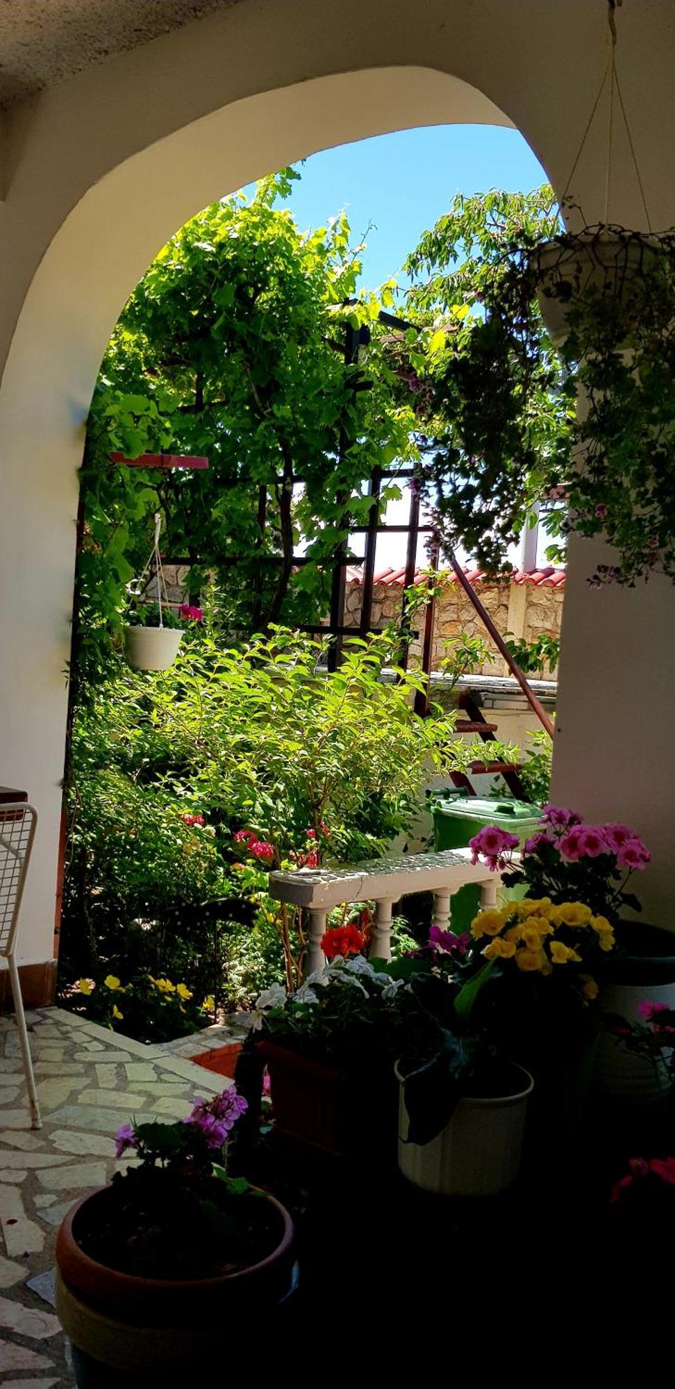 סנג' Apartments Varga מראה חיצוני תמונה